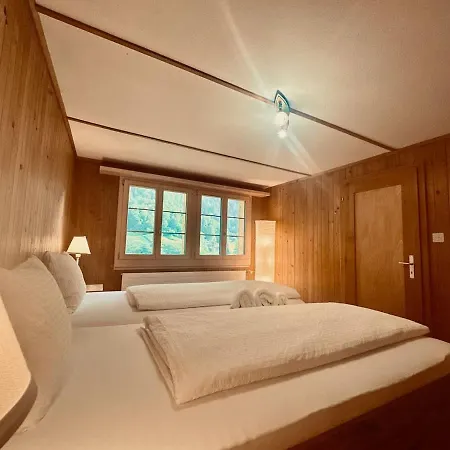 Scenic Grindelwald Interlaken & Lauterbrunen Lütschenthal