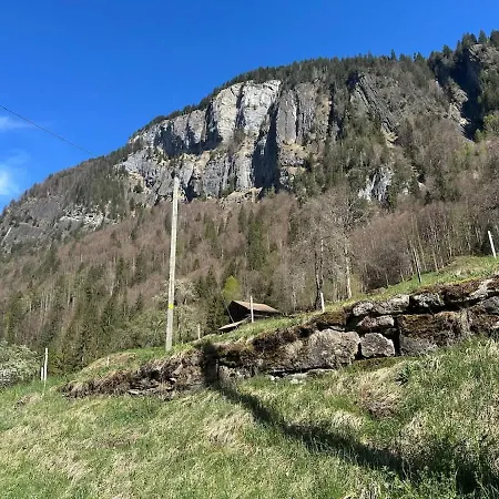 Scenic Grindelwald Interlaken & Lauterbrunen