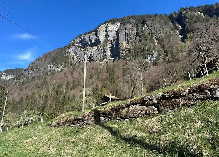 Scenic Grindelwald Interlaken & Lauterbrunen